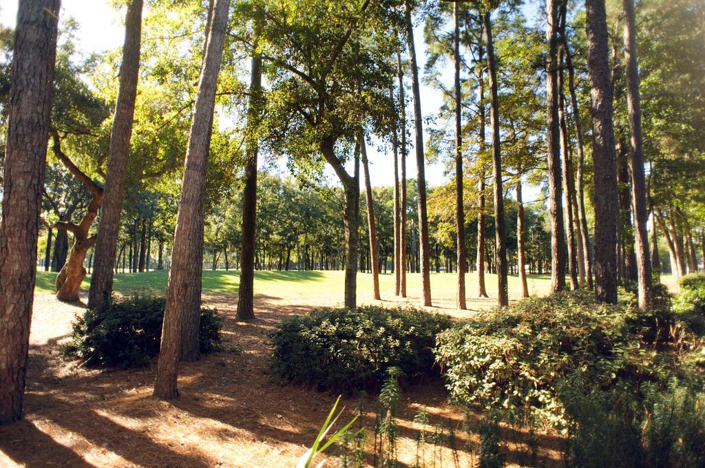 Hotel Pawleys Plantation Golf & Country Club à Pawleys Island Extérieur photo